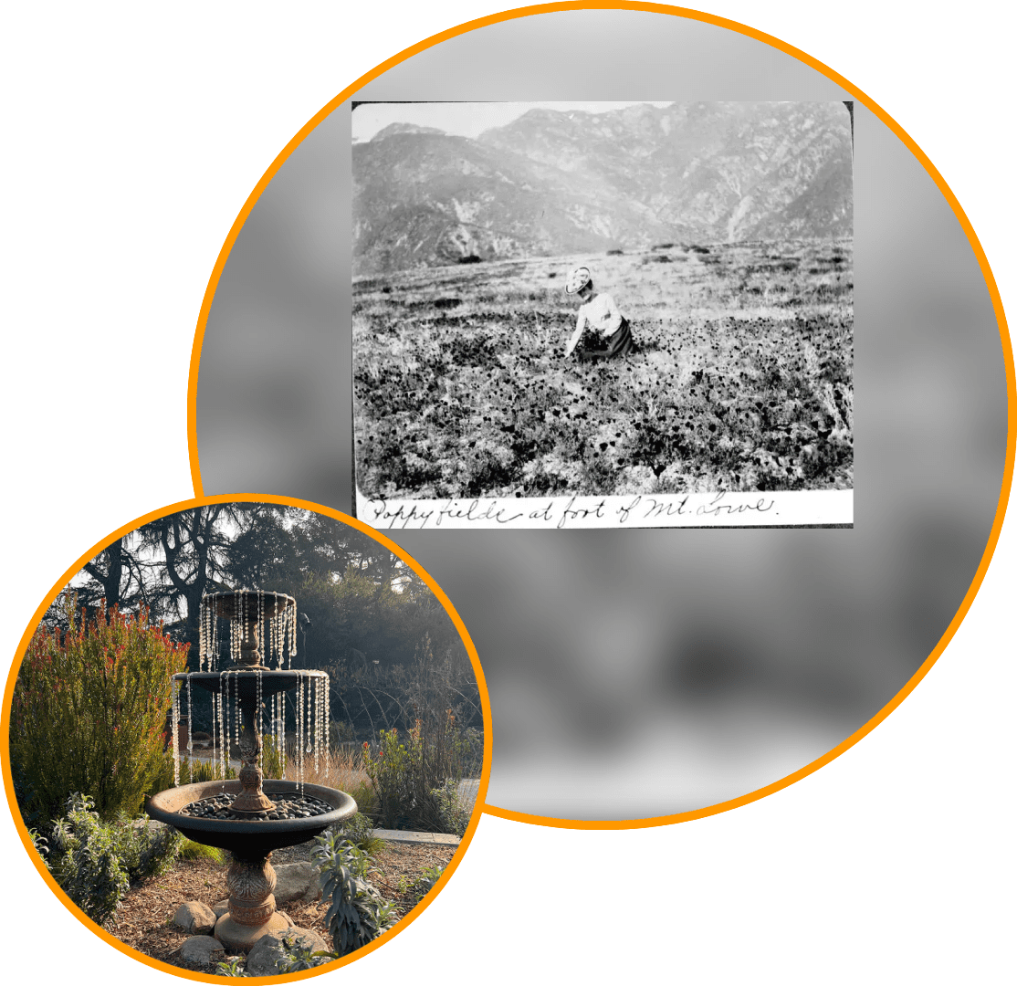 23 (1) A picture of the same area in the past and then on.
