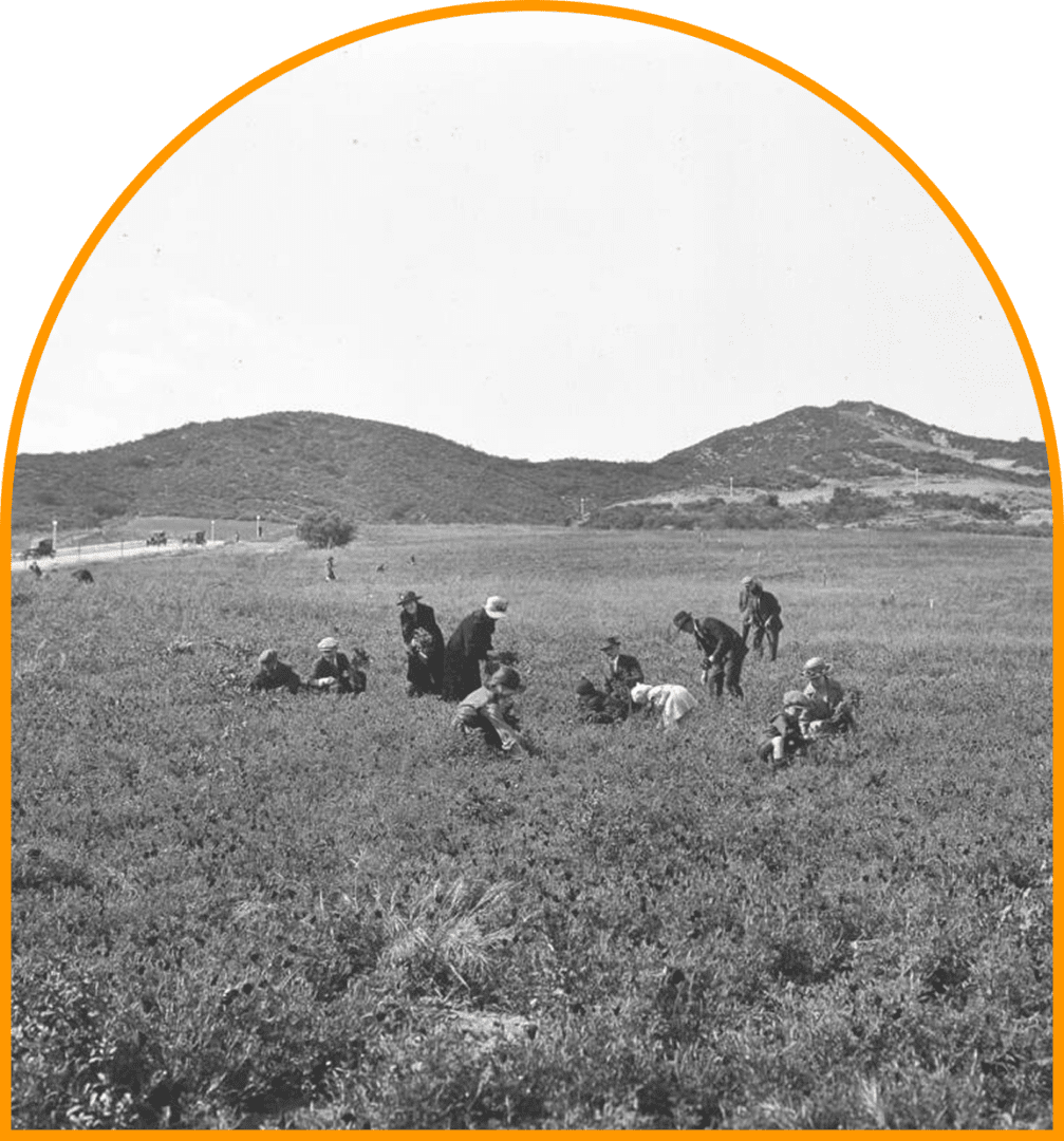 Frame 1618873773 A group of people in the middle of an open field.
